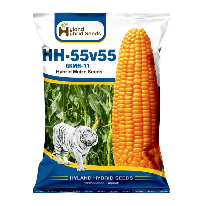 Corn Seed Multi purpose